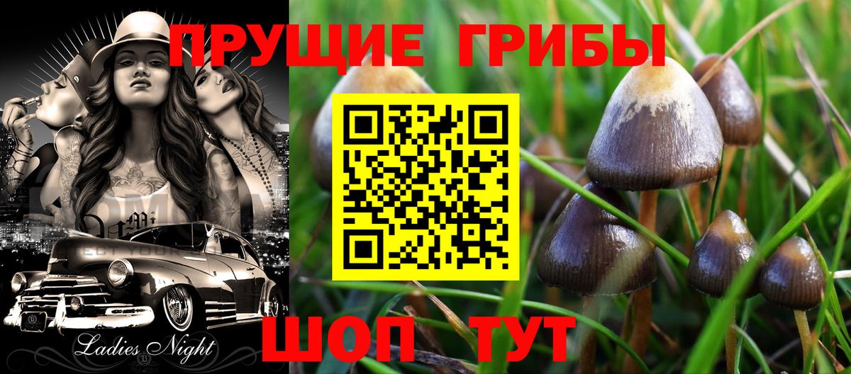 Псилоцибиновые грибы прущие грибы  Галлюциногенные грибы GOLDEN TEACHER  Вход с VPN  Кушва 